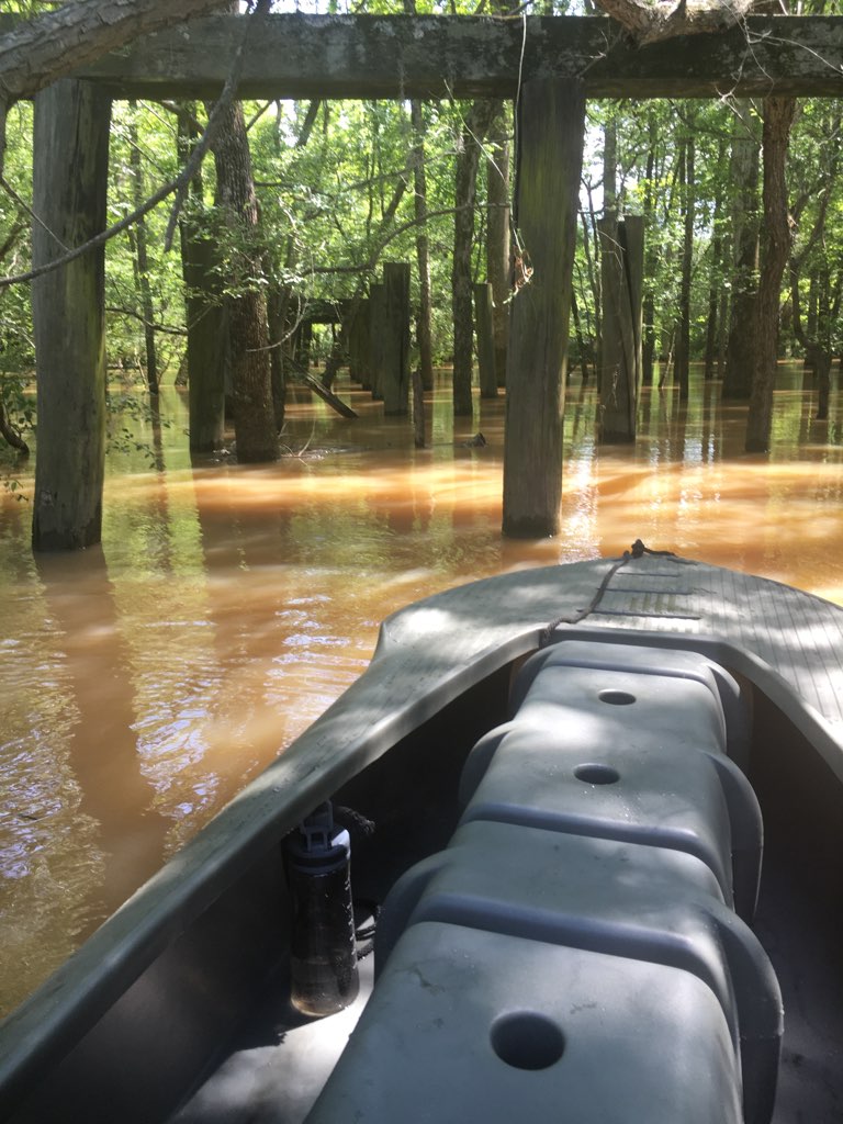 Green S4 boat in flooded wooded area