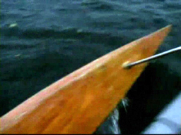 View of an outrigger